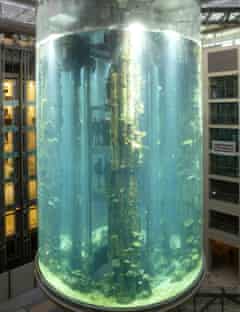 В Берлине взорвался крупнейший аквариум в мире