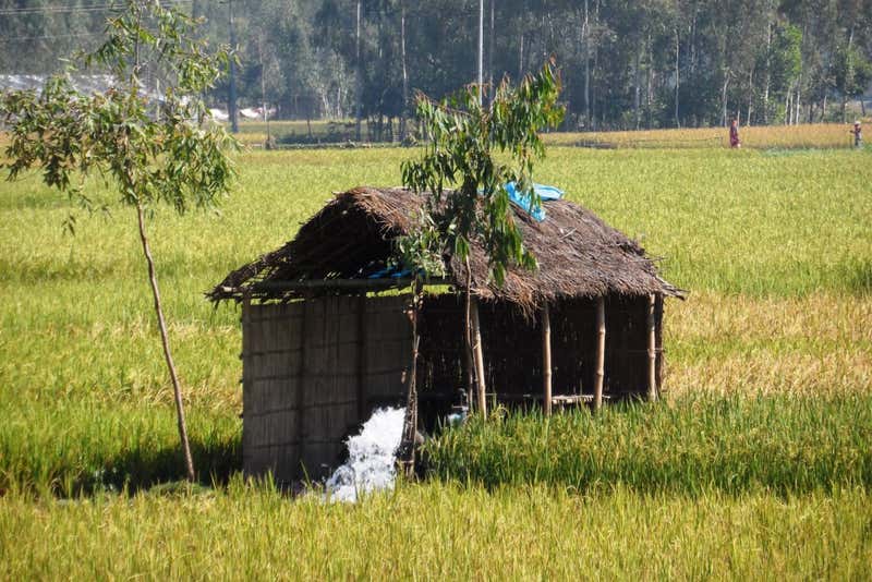 В Бангладеш из-за нехватки продовольствия могут быть истощены подземные воды
