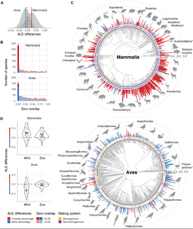 исследование почему женщины живут дольше