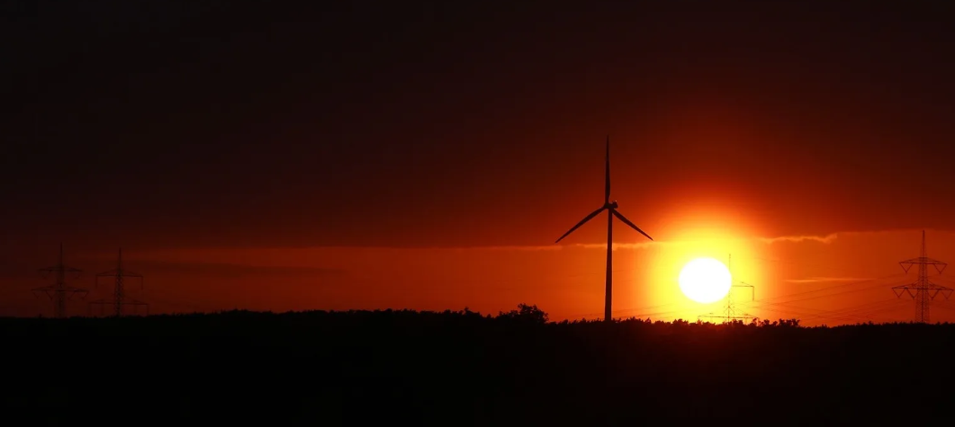Возобновляемые источники энергии обеспечили 100% роста мирового производства электроэнергии