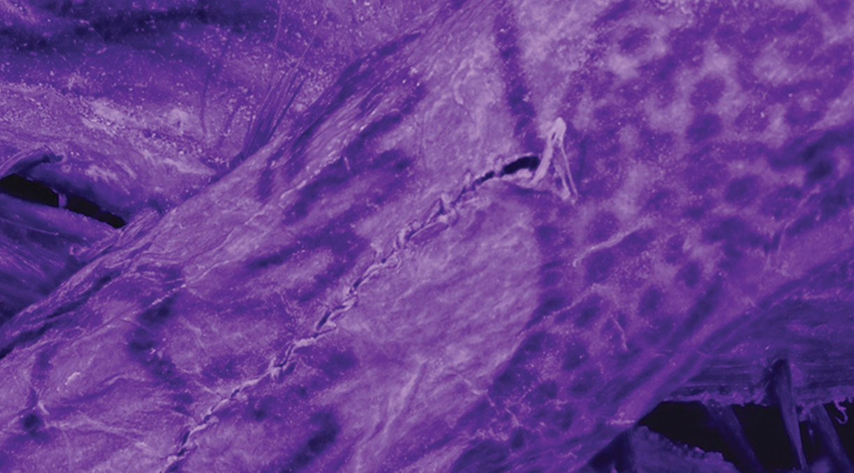 Как выглядели татуировки 2000 лет назад