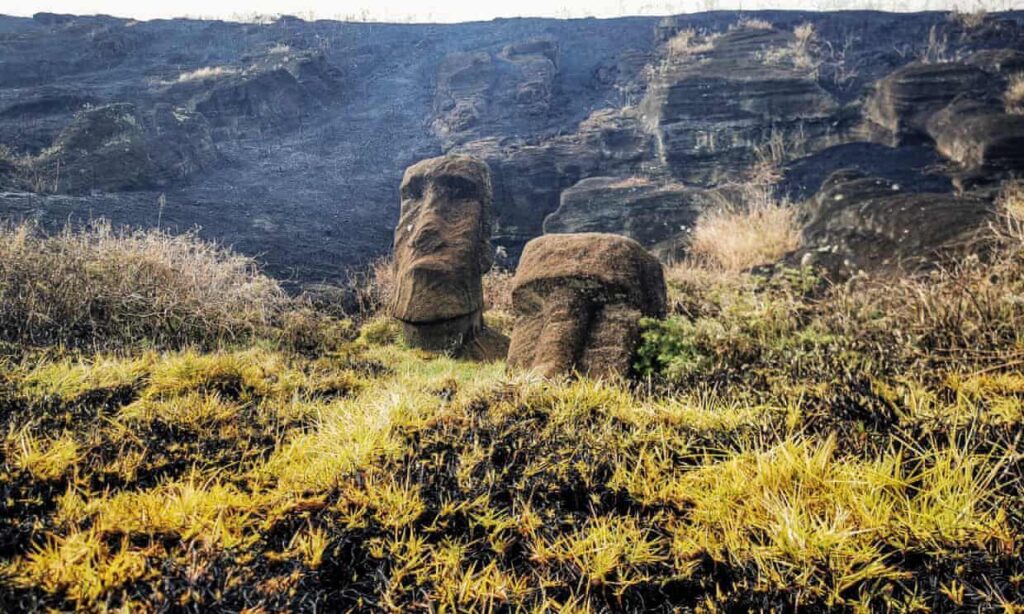Каменные статуи-монолиты моаи пострадали из-за лесного пожара на острове Пасхи